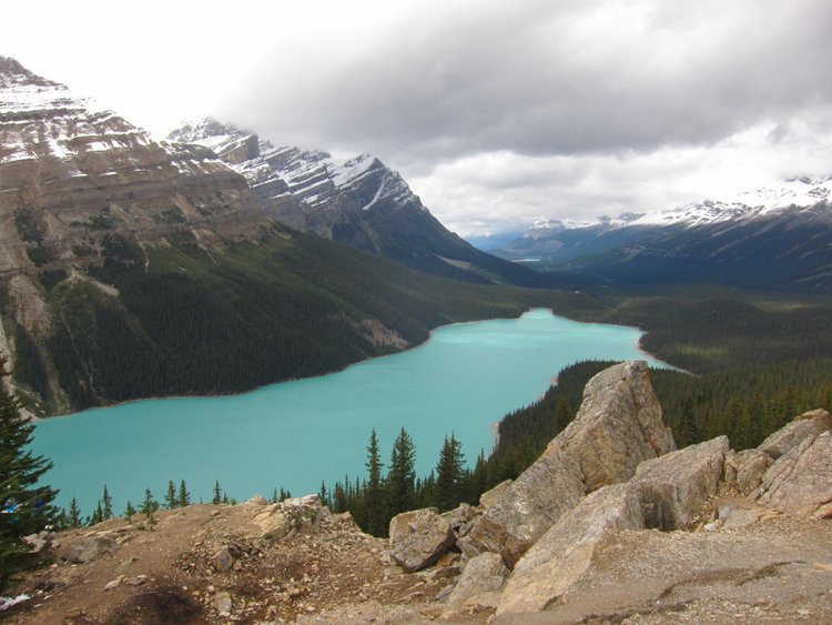 Peyto Lake