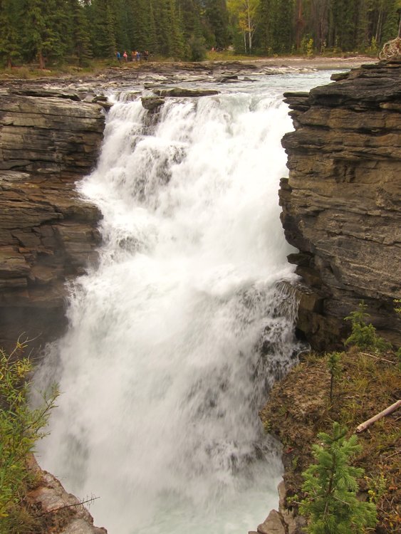 Athabaska Falls