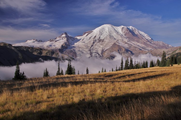 Rainier in the morning light approaching Sunrise Visitor Center