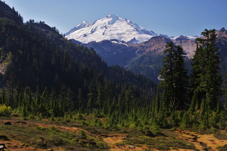 Mt. Baker from the Lake Ann trail