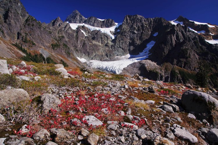Mt. Shuksan from just above Lake Ann