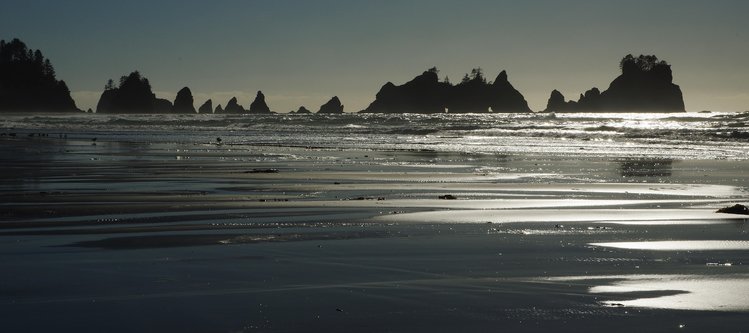 Shi Shi Beach