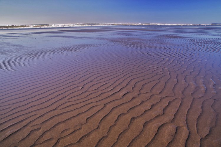 Kalaloch Beach