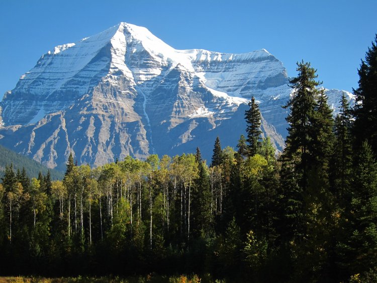 Mt Robson