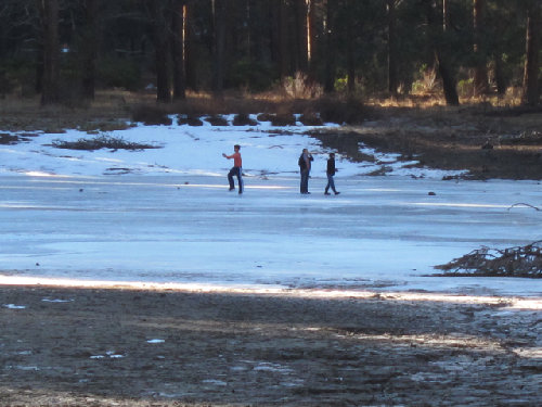 Ice Skaters on pond just off the river