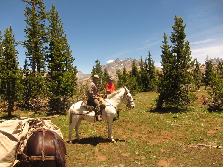 Intrepid Mule Men