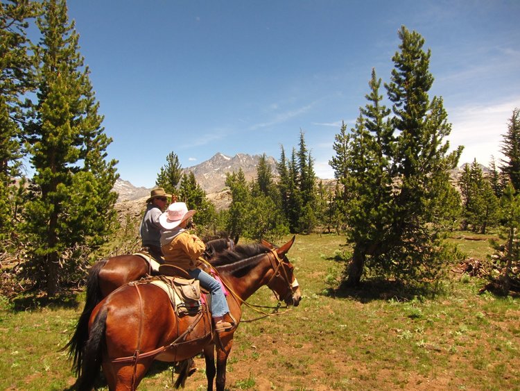Mother and daughter wranglers, daughter led the way until we got to unmaintained trail