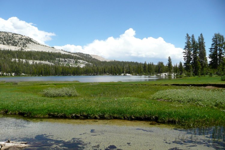 Looking e across Sadler Lake From Inlet