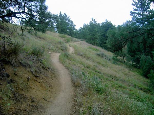 Sweet single track in Bend, OR.  Trail seems fine to me.