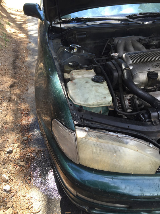 Lovely radiator issues.