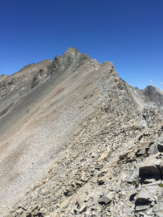 What we thought was the summit of McDuffie turned out to be the False Summit. That's the long and relentless ridgeline and that's not even all of it!