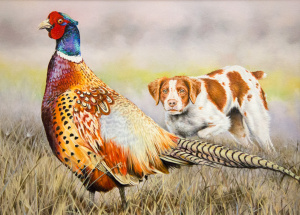 A painting by Roberta &quot;Roby&quot; Baer of Redding took first place in the California Upland Game Stamp Art Contest.