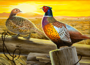 A painting by Tim Turenne of Richfield, Minn., took second place in the California Upland Game Bird Stamp Art Contest