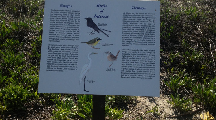 los-banos-birding-trail.jpg