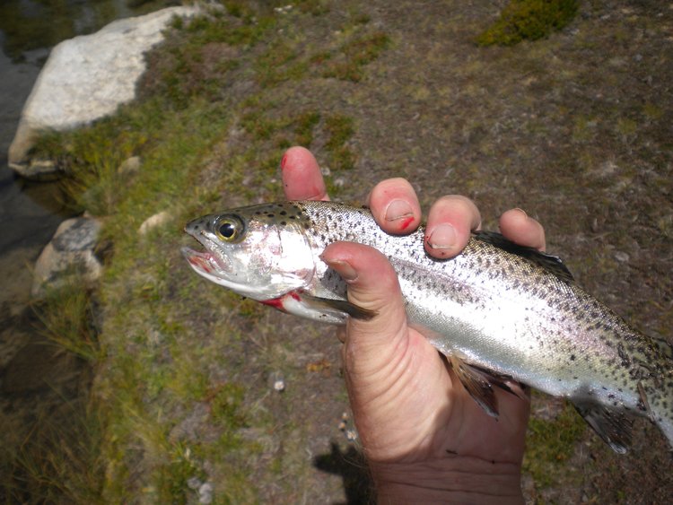 DSCN3170.JPG