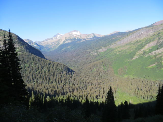 Glacier NP 2015 028_opt.jpg