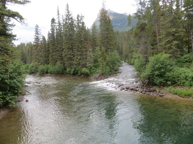 Glacier NP 2015 039_opt.jpg