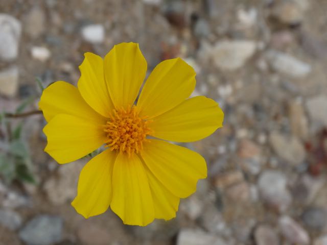 DSC08456.jpg