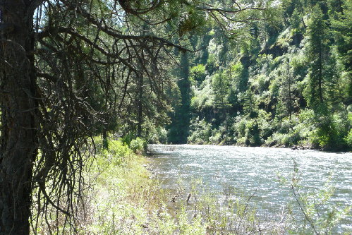 Same river, upstream a few miles decidedly different vegetation