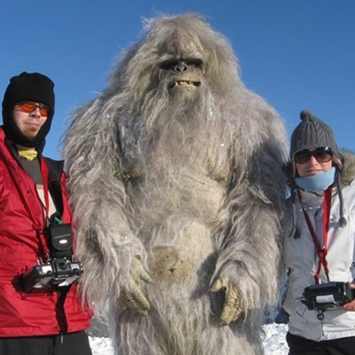 sierra yeti.jpg