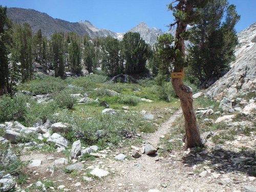 5Trail to U. L.JPG