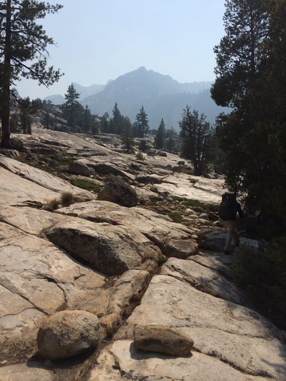 Secor's &quot;wrinkle&quot; along the Mono Creek trail