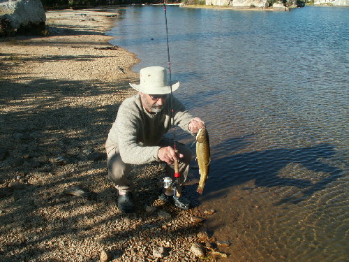 Big Brookie