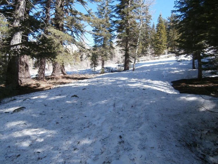 1 7600 Feet.JPG