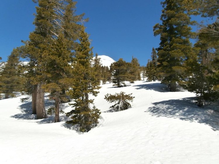 2 8600 Feet.JPG