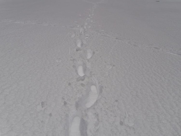 8 Slushy Snow.JPG