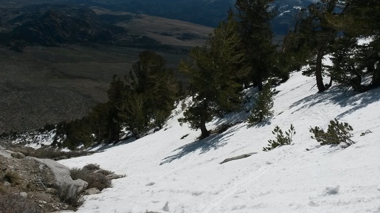 looking back down the gully - half of a half-pipe
