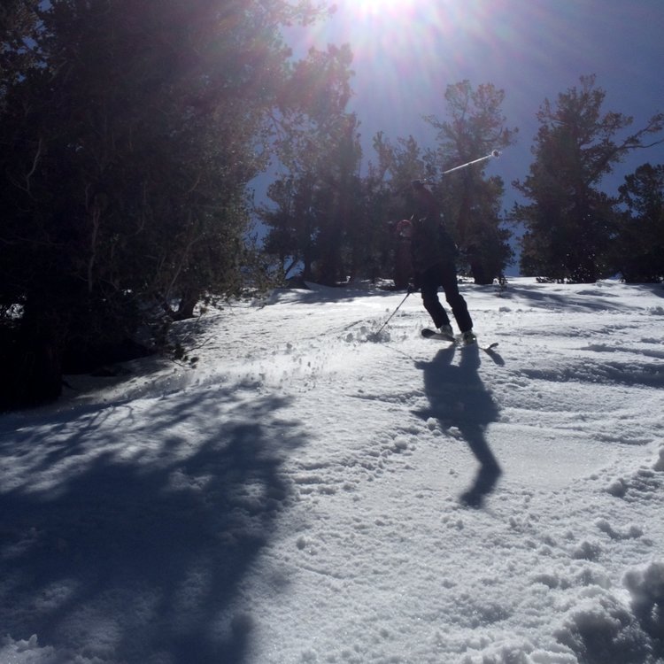 executing a jump-turn - we were deep in the trees here