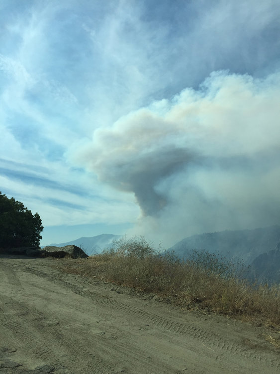 The plumes of smoke were intense.