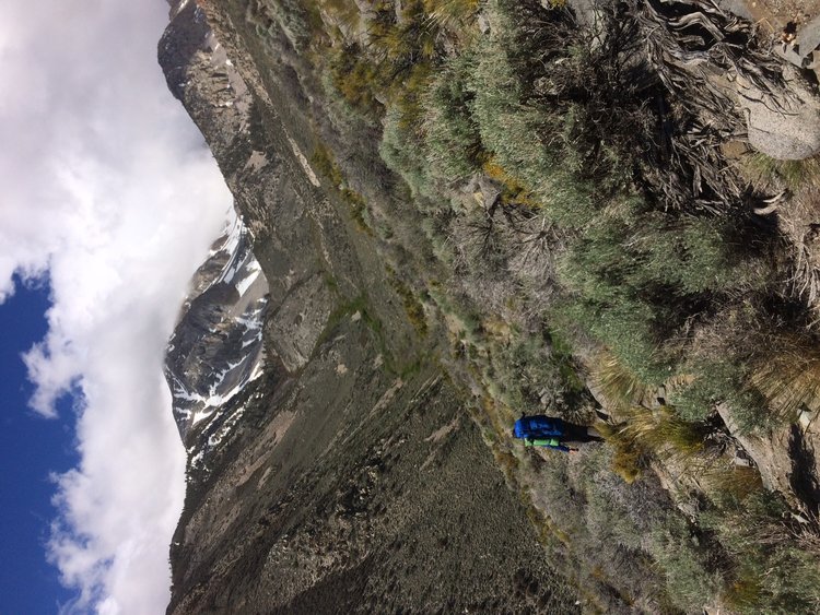 Up the Canyon