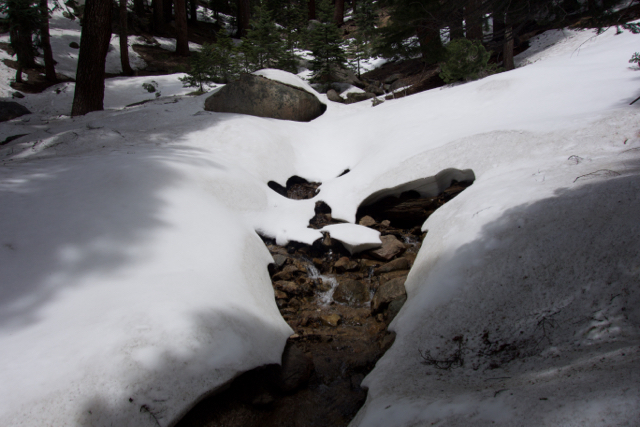 The creek above Mehrten Meadow has undercut the snow, creating delicate snow bridges.