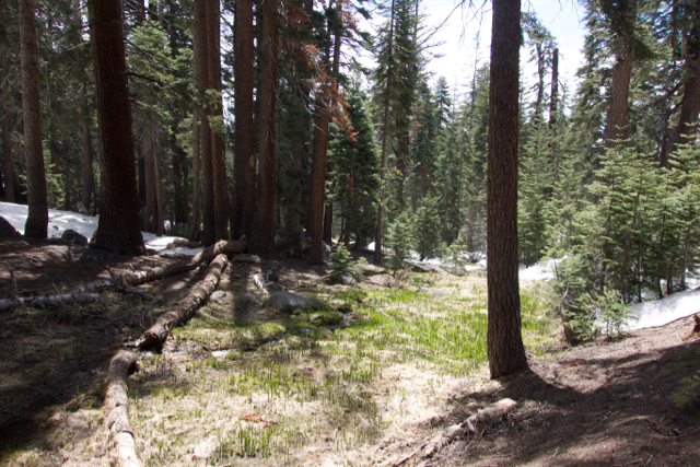 The snow in Mehrten Meadow is quickly melting. It's a popular place to camp: we saw half a dozen groups camped here.