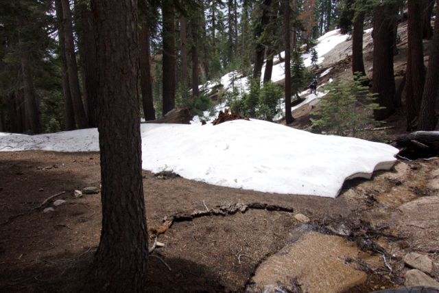Snow drifts in Mehrten Meadow