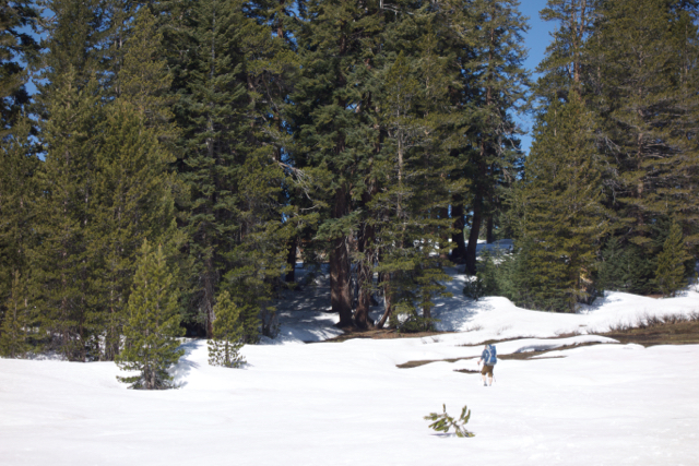 In the morning we explored Alta Meadows, shown here.