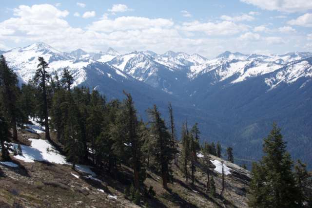 On our return hike to Wolverton, we enjoyed a final view of the snowy Sierra.