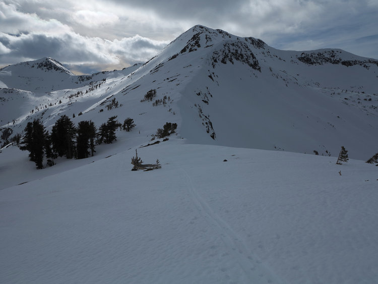 The ridge to Dick's this winter in February. As you can see it's pretty steep on one side for one part and steep on both sides on the final climb.. Wouldn't want to fall on either side.