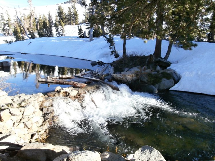5Check Dam.JPG