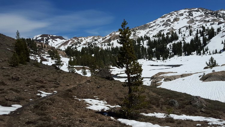 Entering Lunch Meadow