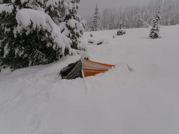 Tent2.jpg