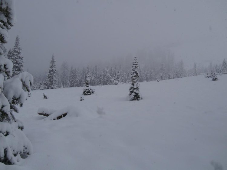 Snow2.jpg