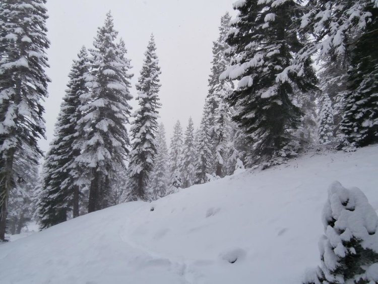 Snow3.jpg