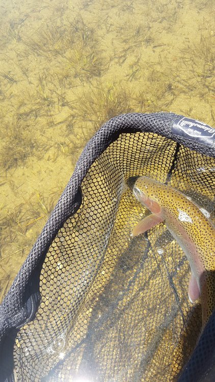 best fish of trip