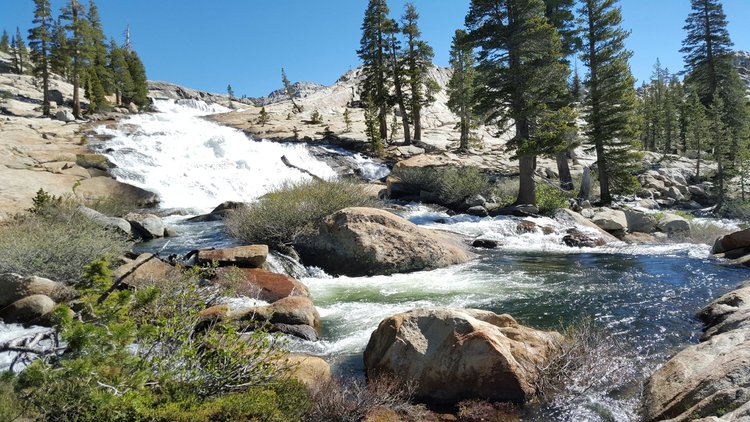 Water flowing over the check dam