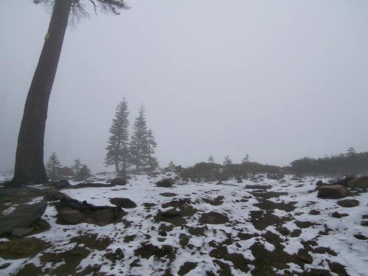 Mt. Shasta Compare 1.jpg