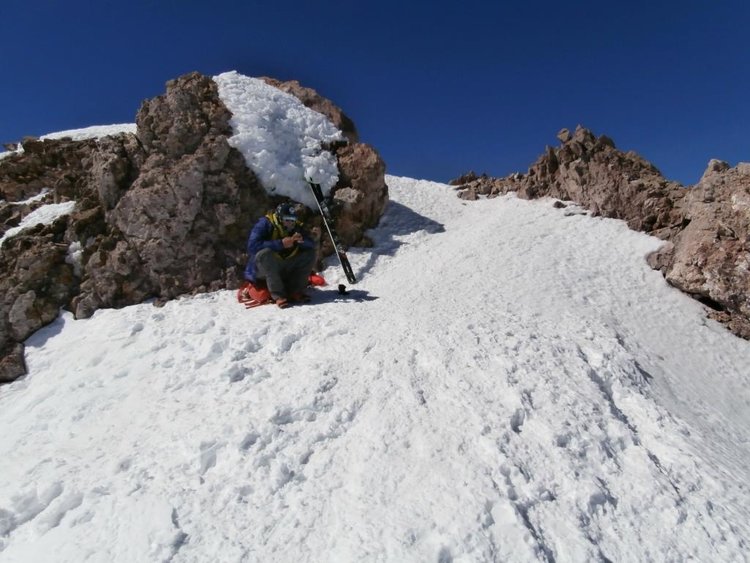 3 Forrest Guarding Summit.jpg