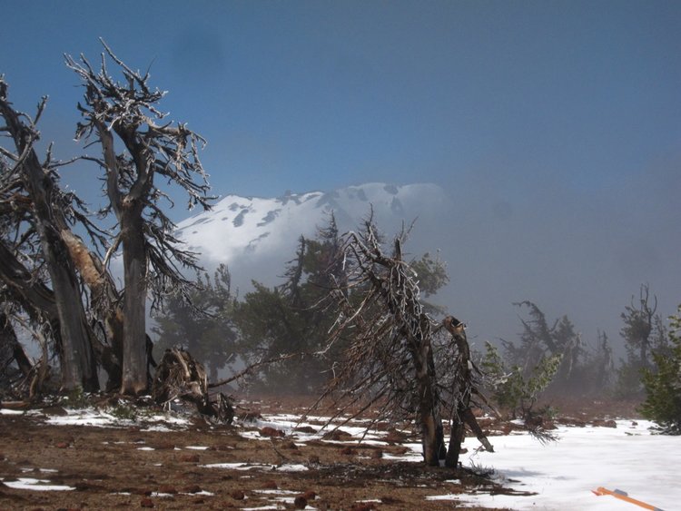 Momentary View of Mount Bachelor from Tumalo Mountain, June 24